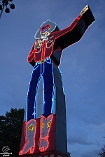 Neon Tex
