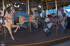 Dentzel Carousel