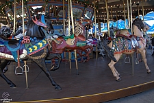 Dentzel Carousel