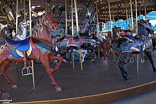 Dentzel Carousel