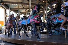 Dentzel Carousel