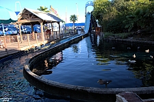 Sparklett's Log Flume