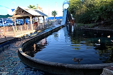 Sparklett's Log Flume