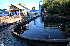 Sparklett's Log Flume