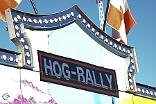 Hog Rally