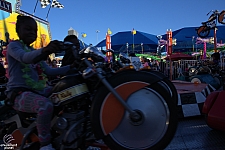 Hog Rally