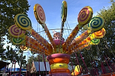 Lolli Swing