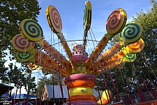 Lolli Swing