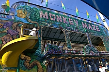 Monkey Maze