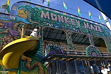 Monkey Maze