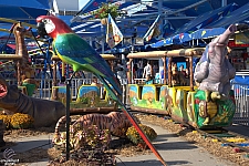 Safari Train