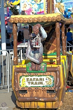 Safari Train