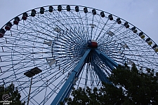 Texas Star