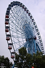 Texas Star