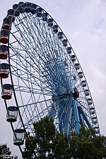 Texas Star