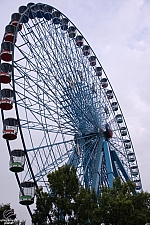 Texas Star