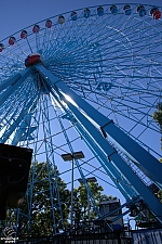 Texas Star