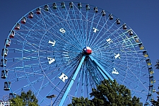 Texas Star