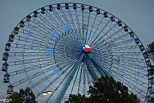 Texas Star