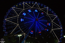 Texas Star