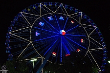 Texas Star