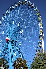 Texas Star