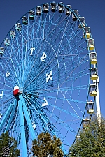 Texas Star