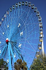 Texas Star