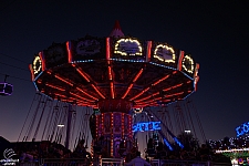 Wave Swinger