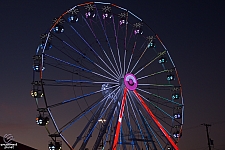 Rides