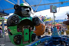 Bear Affair