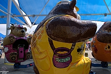 Bear Affair