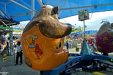 Bear Affair