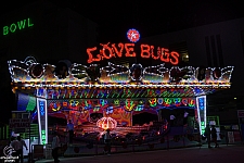 Love Bugs