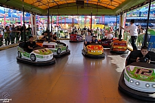 Mini Bumper Cars