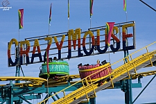 Crazy Mouse