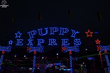 Puppy Express