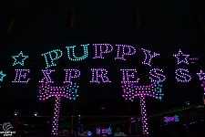 Puppy Express