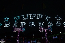 Puppy Express