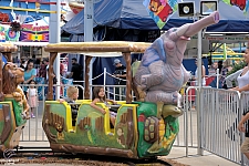 Safari Train