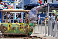 Safari Train