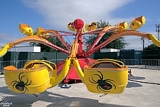 Spider