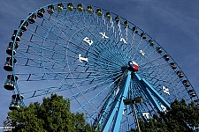 Texas Star