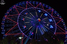 Texas Star