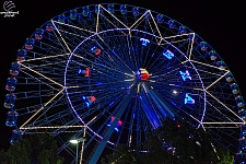 Texas Star