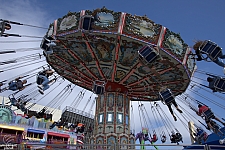Wave Swinger