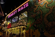 Monkey Maze