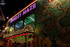 Monkey Maze