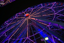 Texas Star