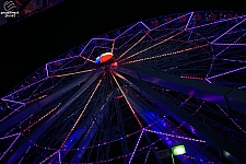 Texas Star